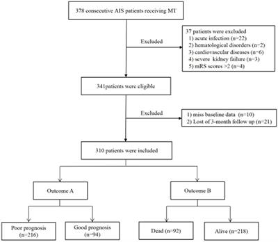 Hemoglobin to red cell distribution width ratio as a prognostic marker for ischemic stroke after mechanical thrombectomy